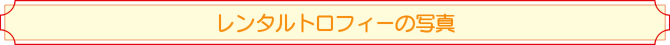 レンタルトロフィーの写真 レンタルトロフィーの写真