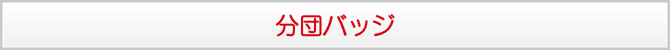 分団バッジ 分団バッジ