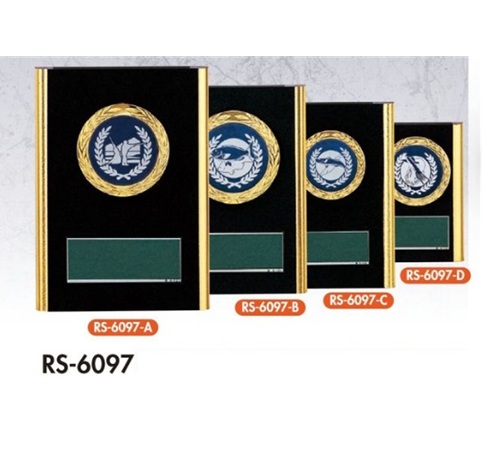 RS6097